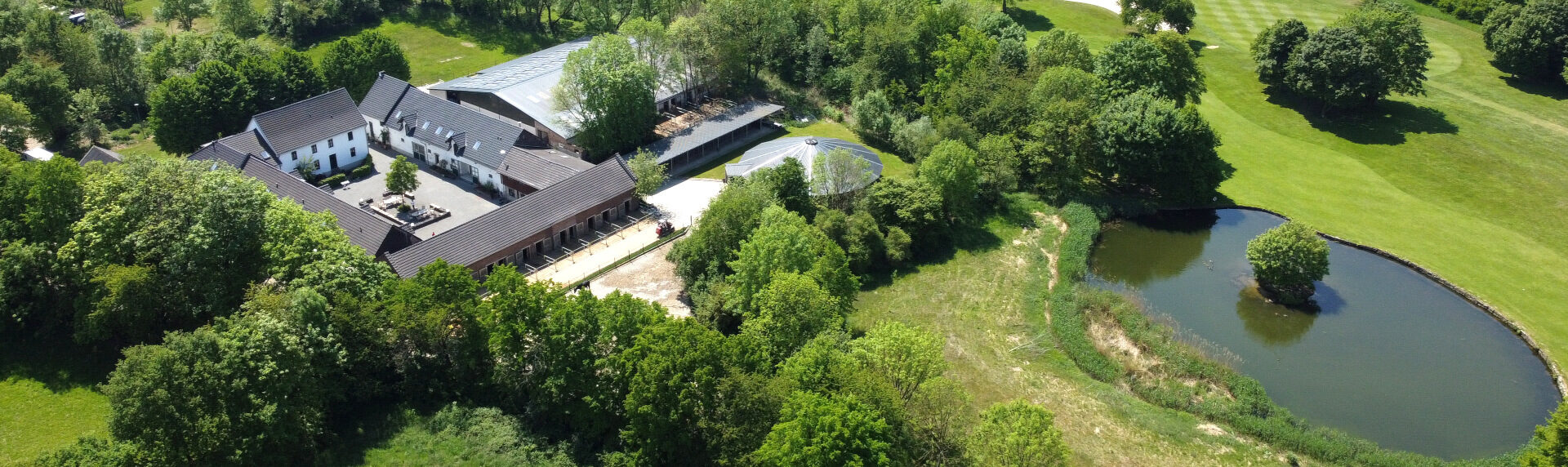 Titelbild der Seite "Publikationen" der LOSCH & MEYER Immobilien GmbH