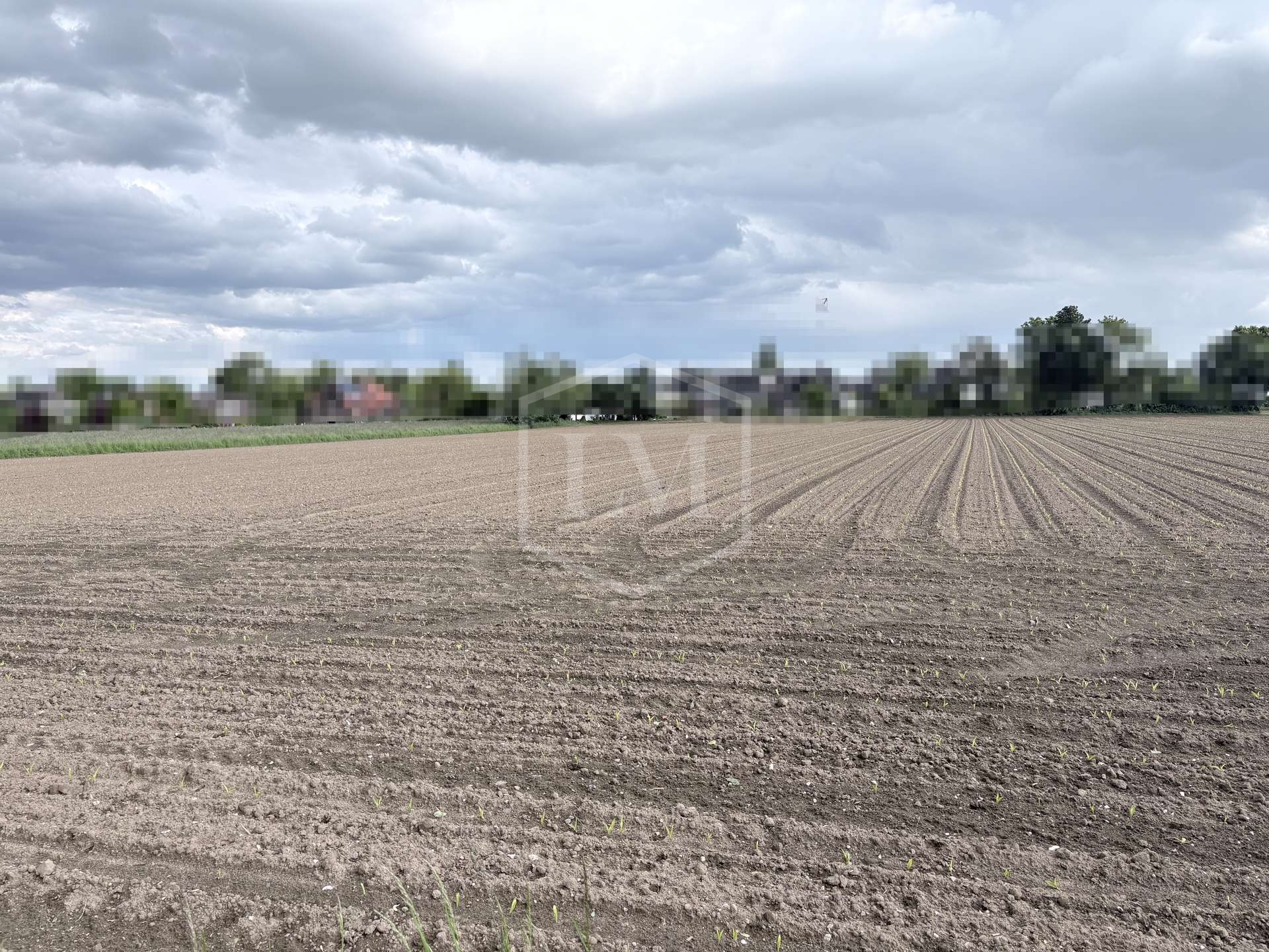 Ackerland Kaufen In NRW Angebote Von Losch Meyer Ackerland Kaufen In NRW Angebote Von Losch Meyer