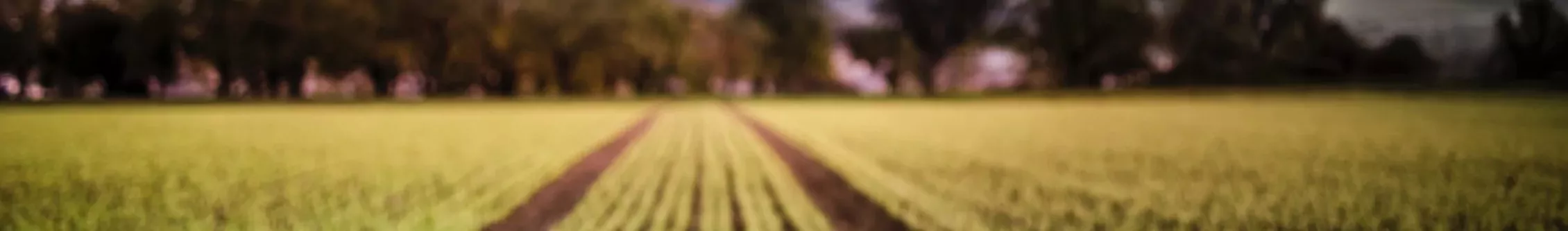 Ackerland