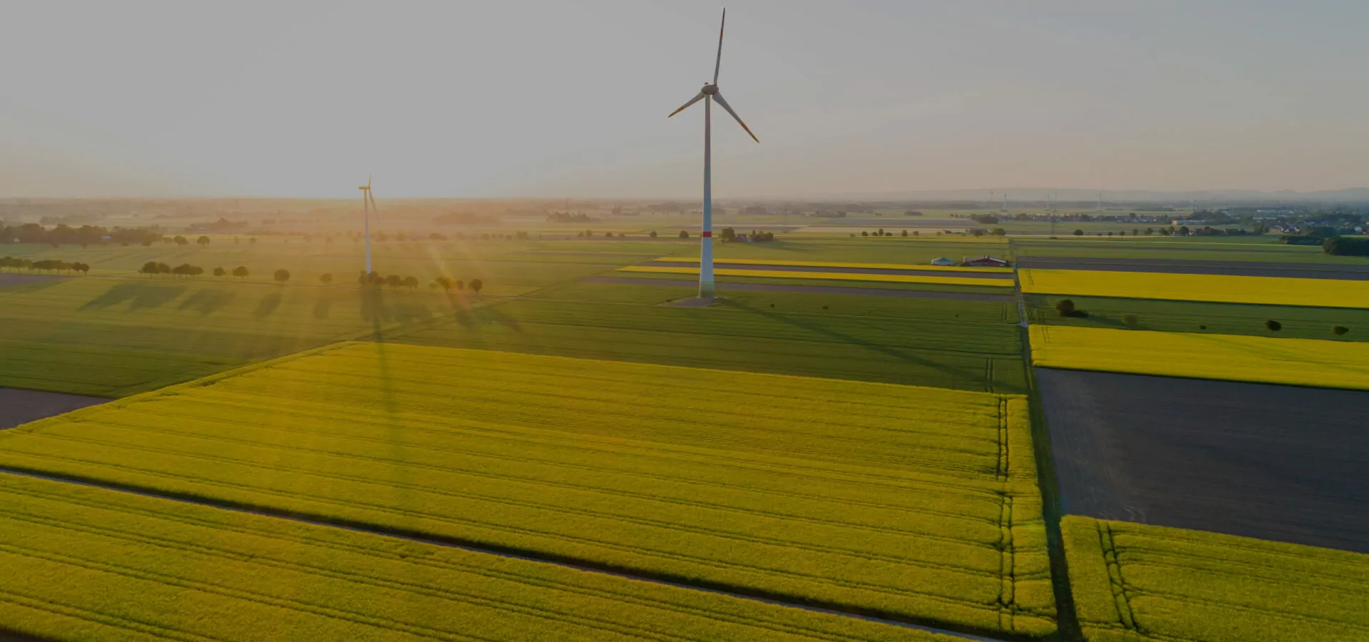 Ackerland mit Windenergieanlage