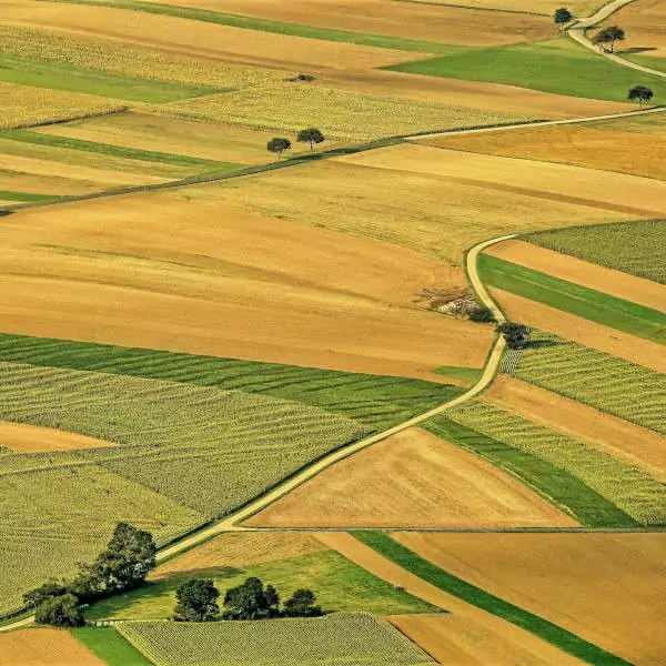 Landwirtschaftliche Flächen